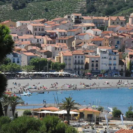 Avec Grande Terrasse Vue Sur * Banyuls-sur-Mer